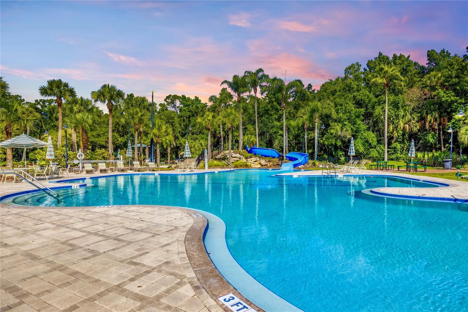 5125 PALM SPRINGS BLVD #1204, TAMPA, FL — photo 22