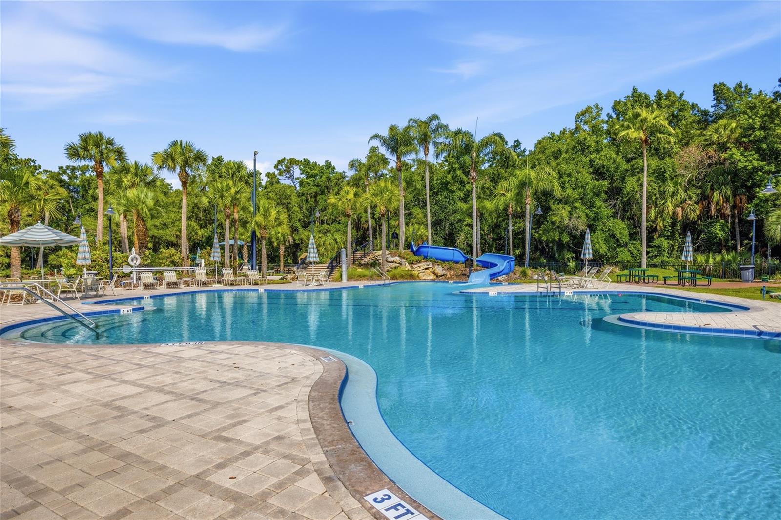 5125 PALM SPRINGS BLVD #1204, TAMPA, FL — photo 25