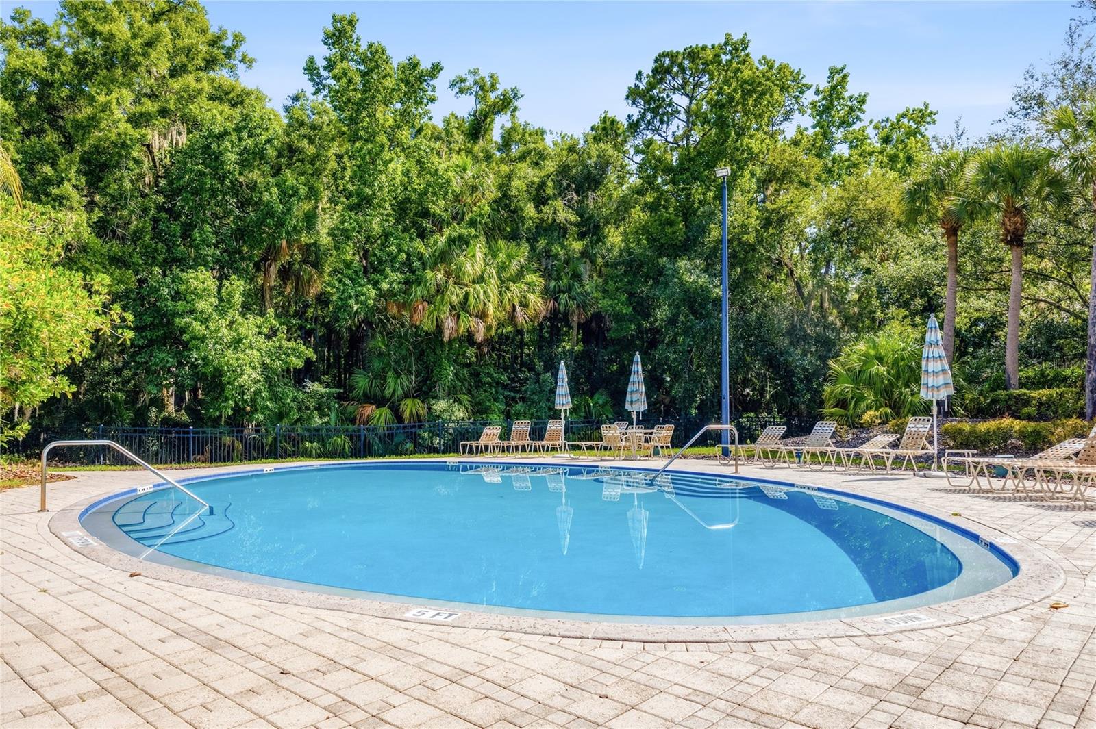 5125 PALM SPRINGS BLVD #1204, TAMPA, FL — photo 26