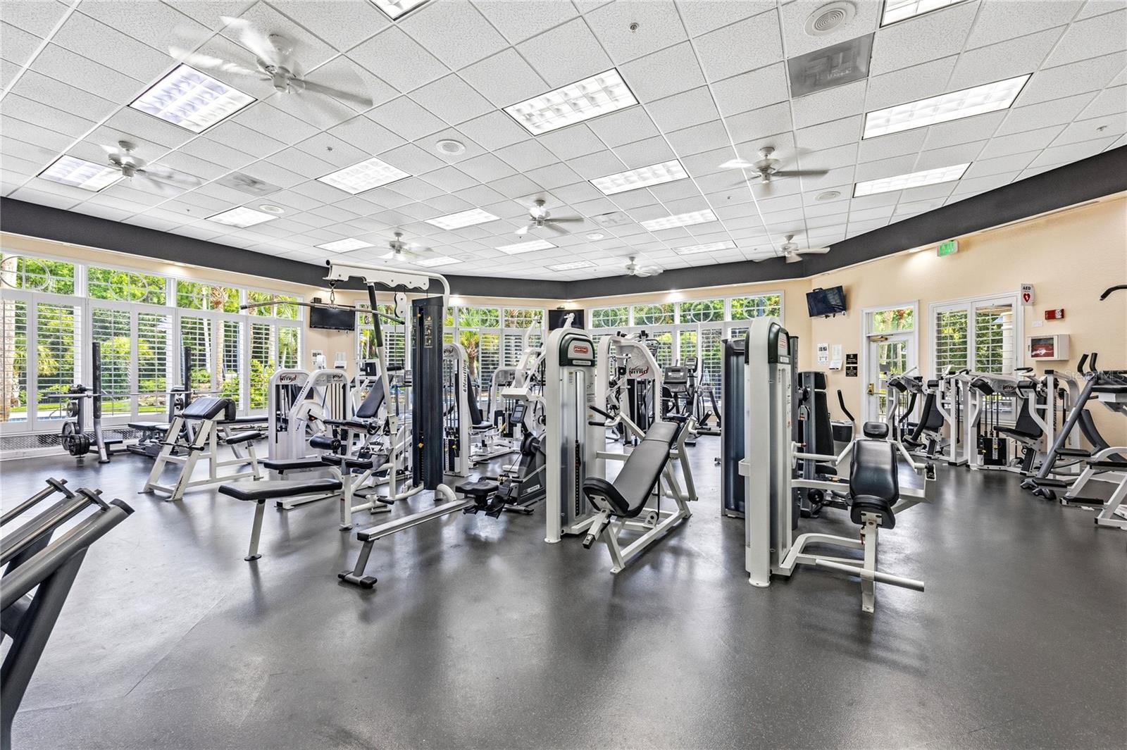 5125 PALM SPRINGS BLVD #1204, TAMPA, FL — photo 28