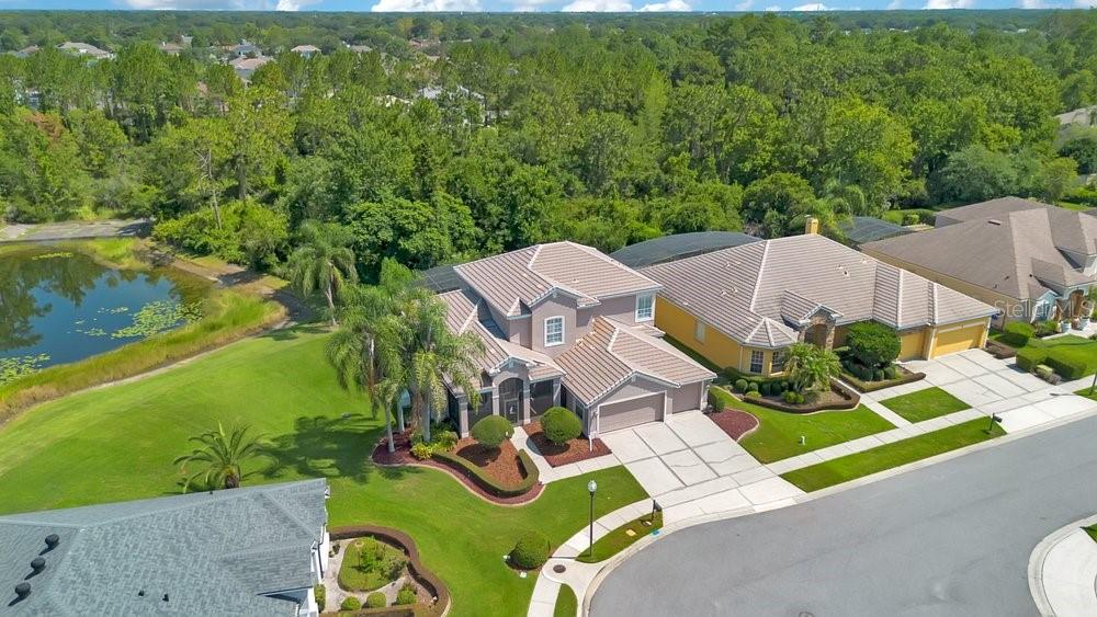 9211 SHADOW PINAR CT, ORLANDO, FL — photo 5