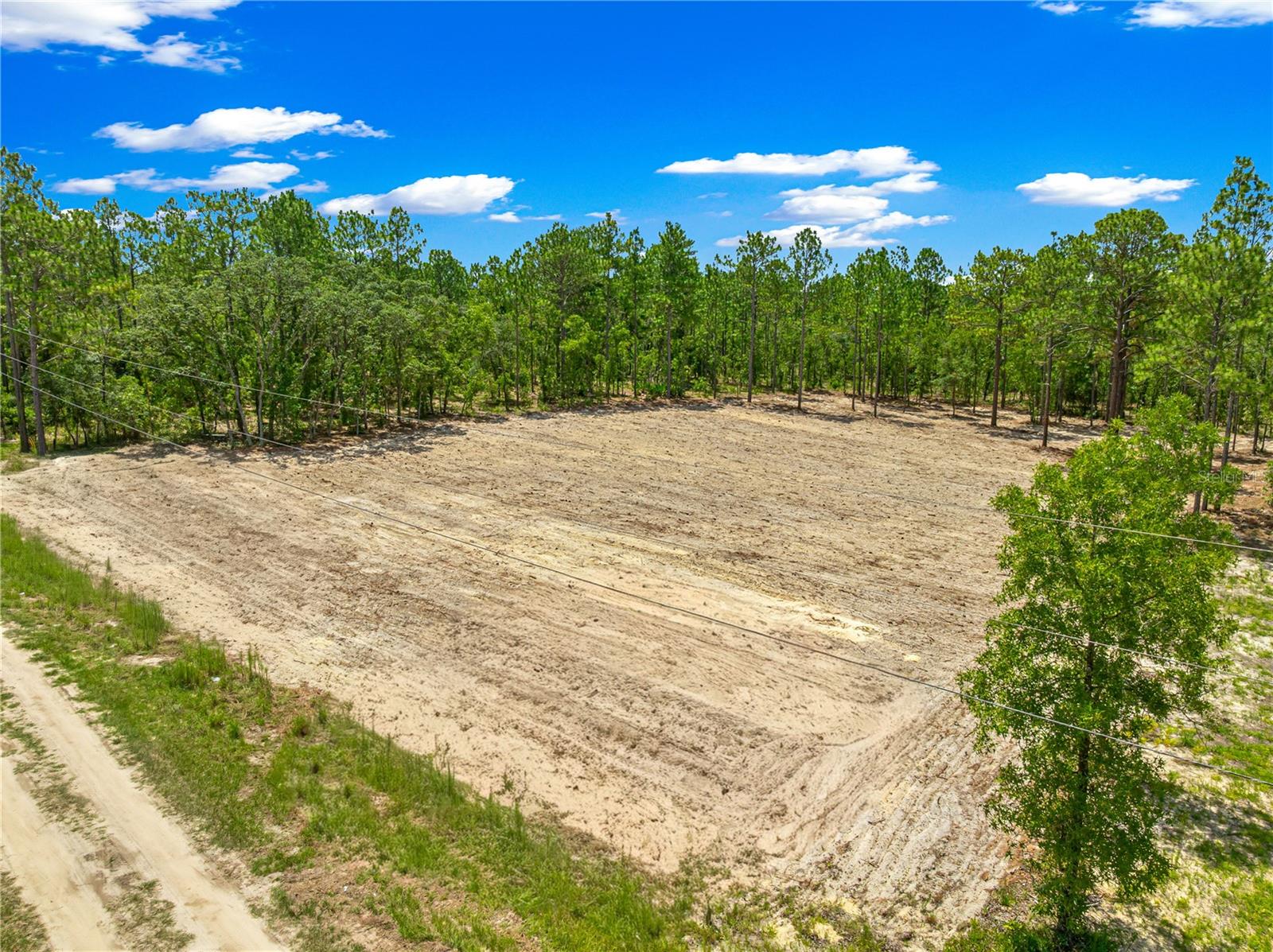 TBD SW 90 PL, DUNNELLON, FL — photo 8