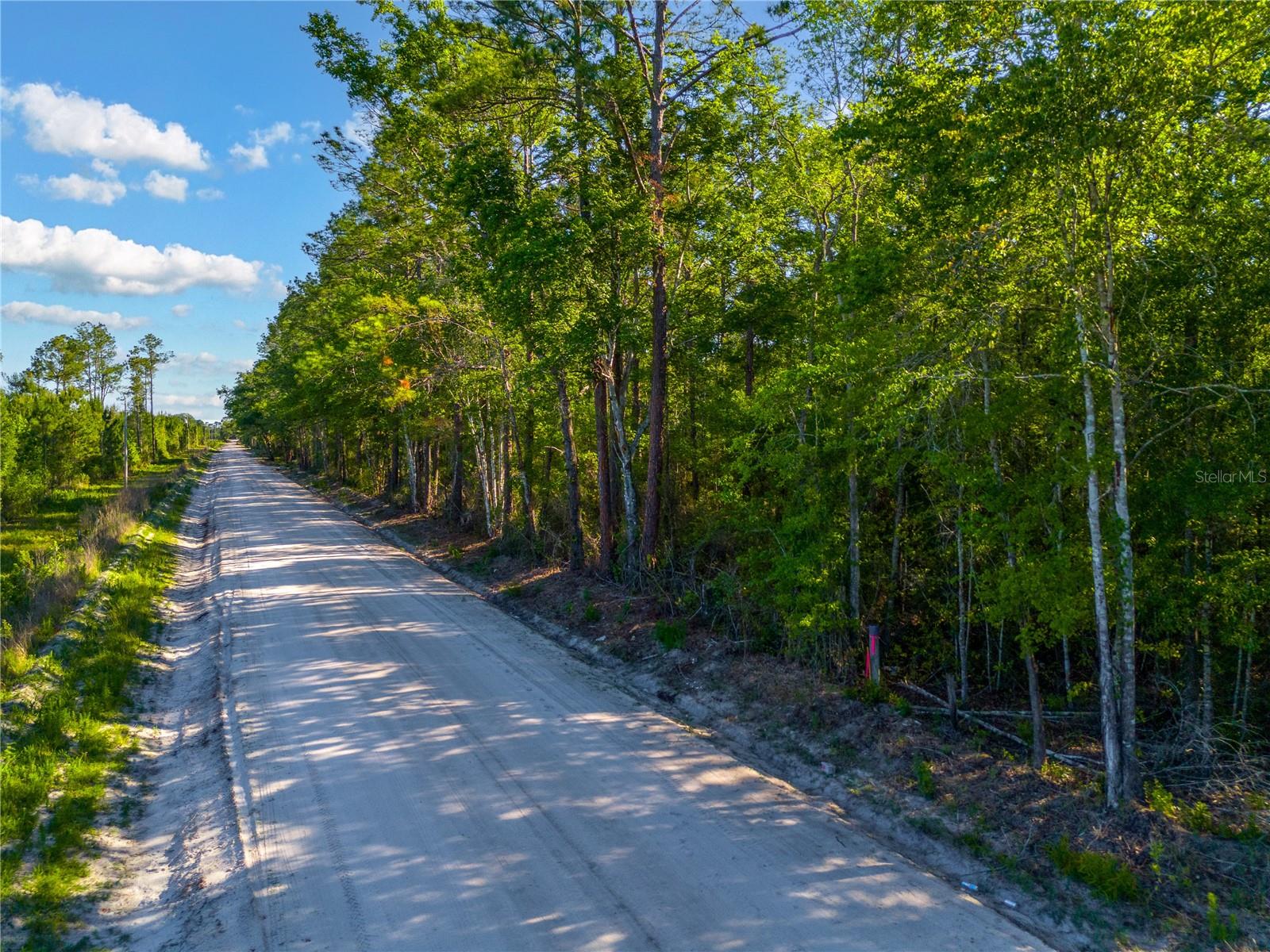 SW 126TH AVE, LAKE BUTLER, LAKE BUTLER, FL — photo 4