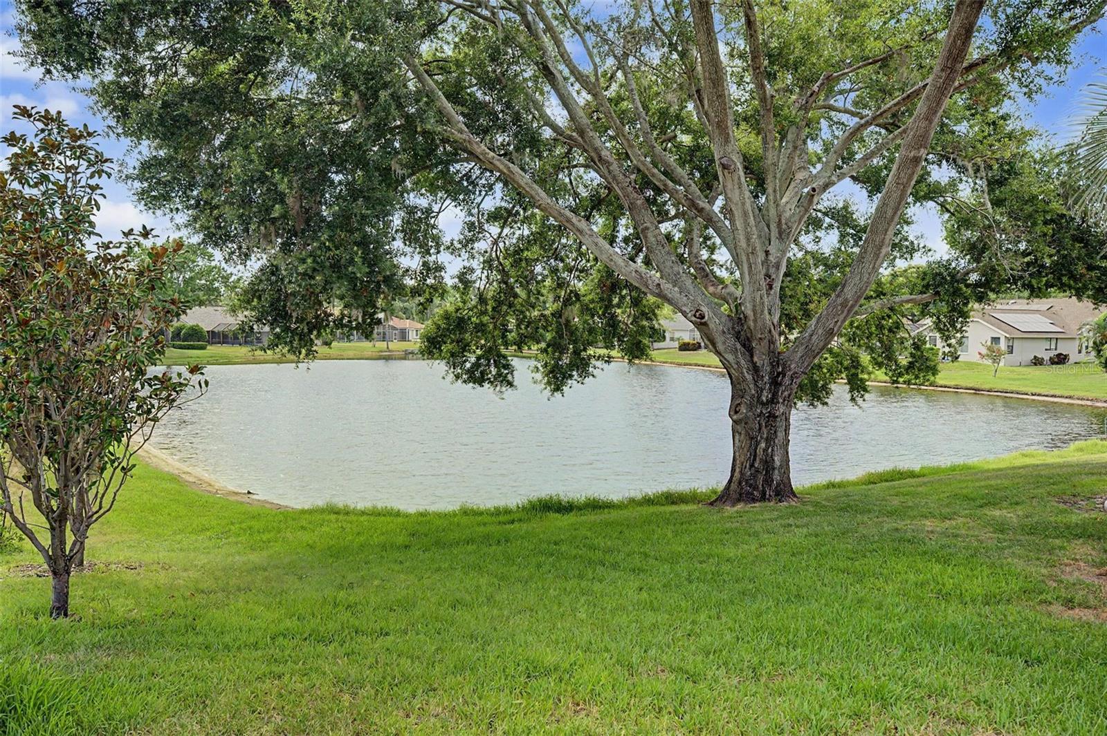 3781 EXECUTIVE DR, PALM HARBOR, FL — photo 53