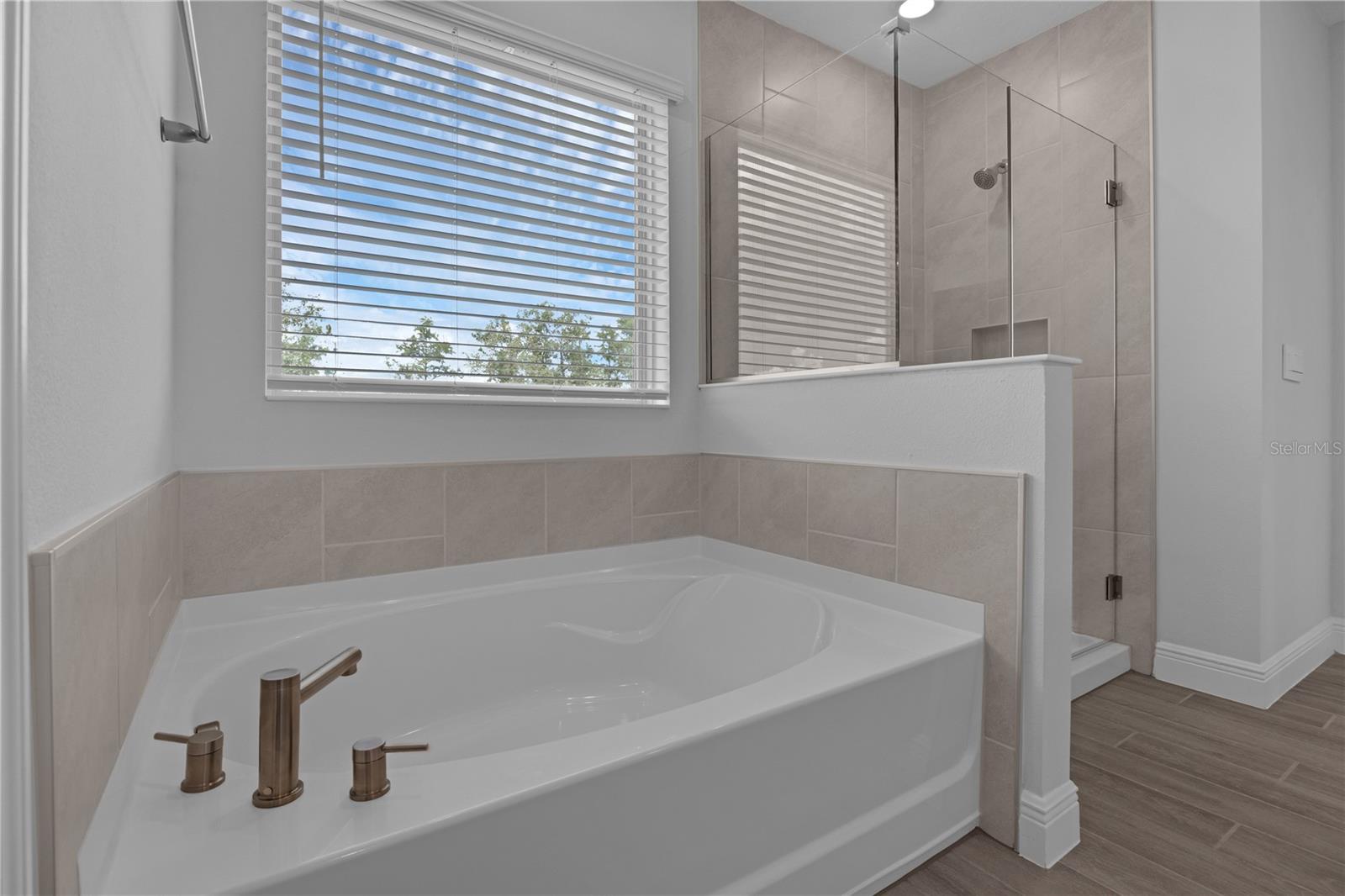 11821 SHINE VIEW LN, WINTER GARDEN, FL — photo 22