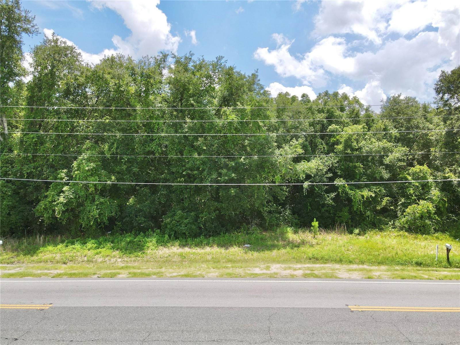 SE HWY 42, WEIRSDALE, FL — photo 3