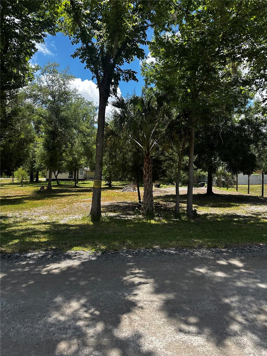 ESTELLE ST, NEW PORT RICHEY, FL — photo 2