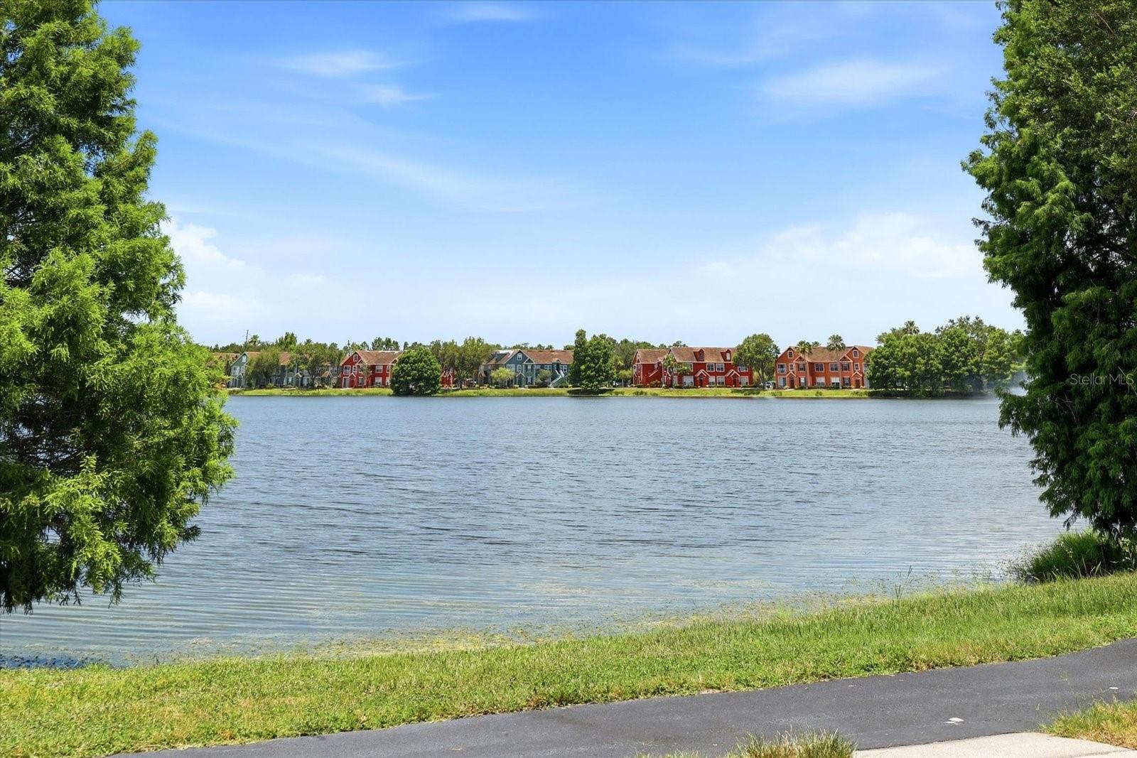 9256 LAKE CHASE ISLAND WAY, TAMPA, FL — photo 8