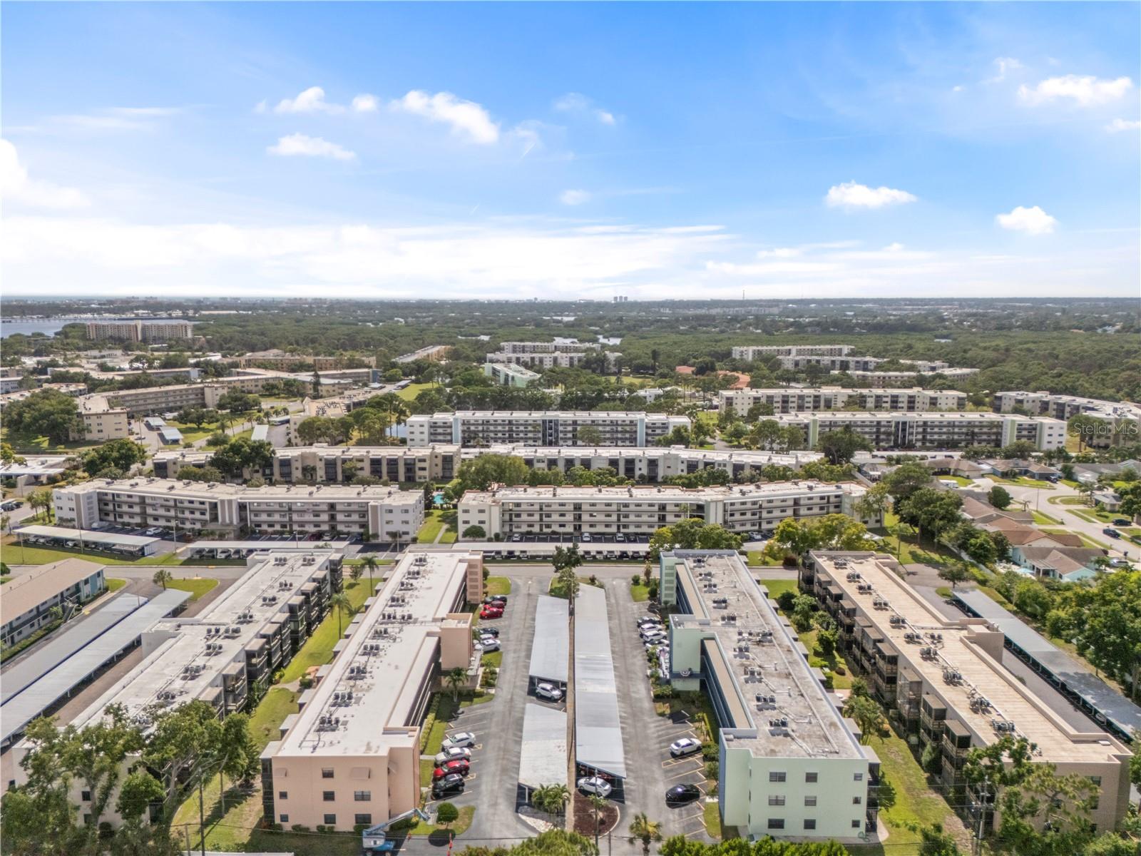 5973 TERRACE PARK DR N #101, ST PETERSBURG, FL — photo 49