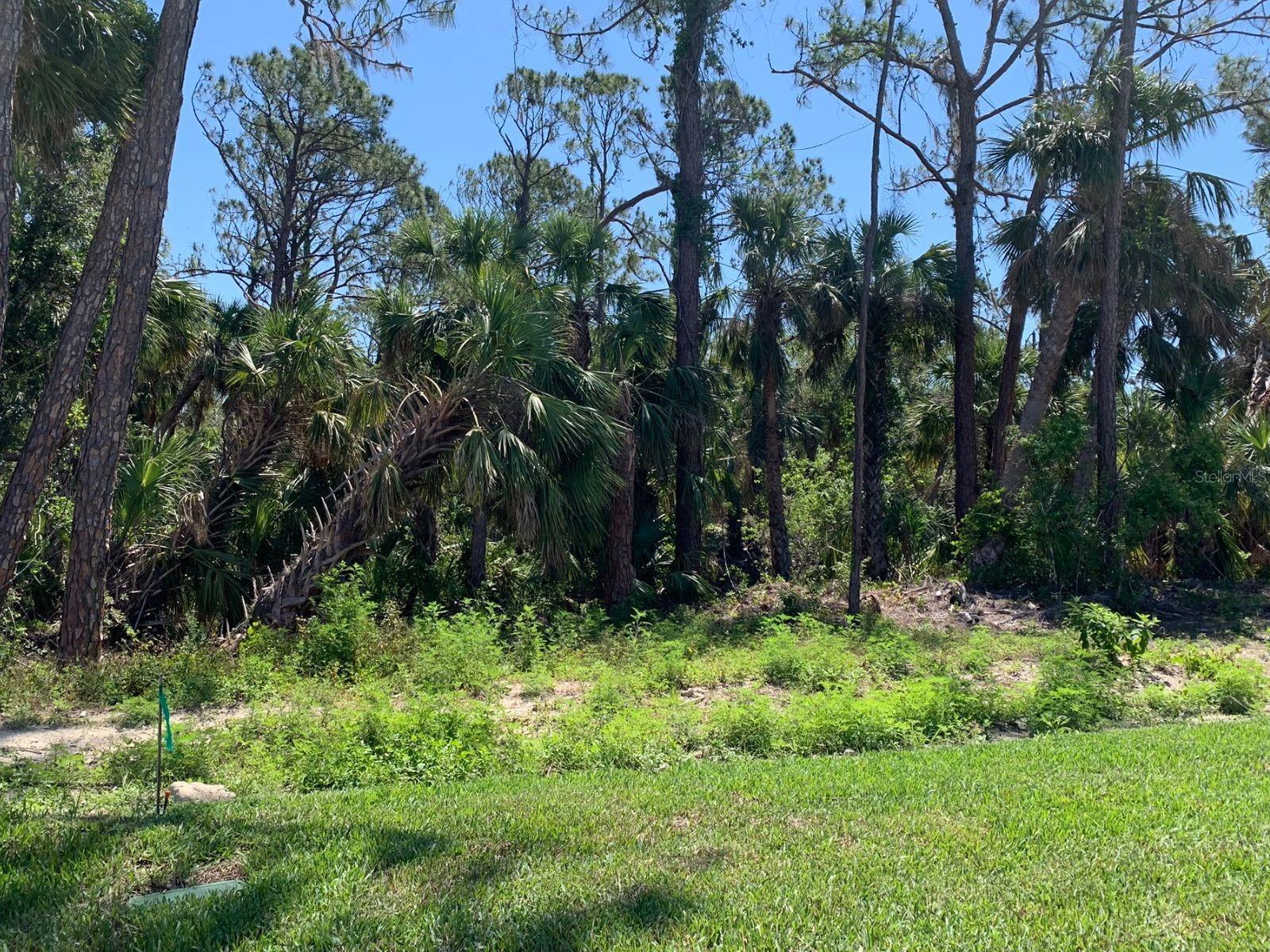 1980 SUNSET PRESERVE WAY, PORT CHARLOTTE, FL — photo 6