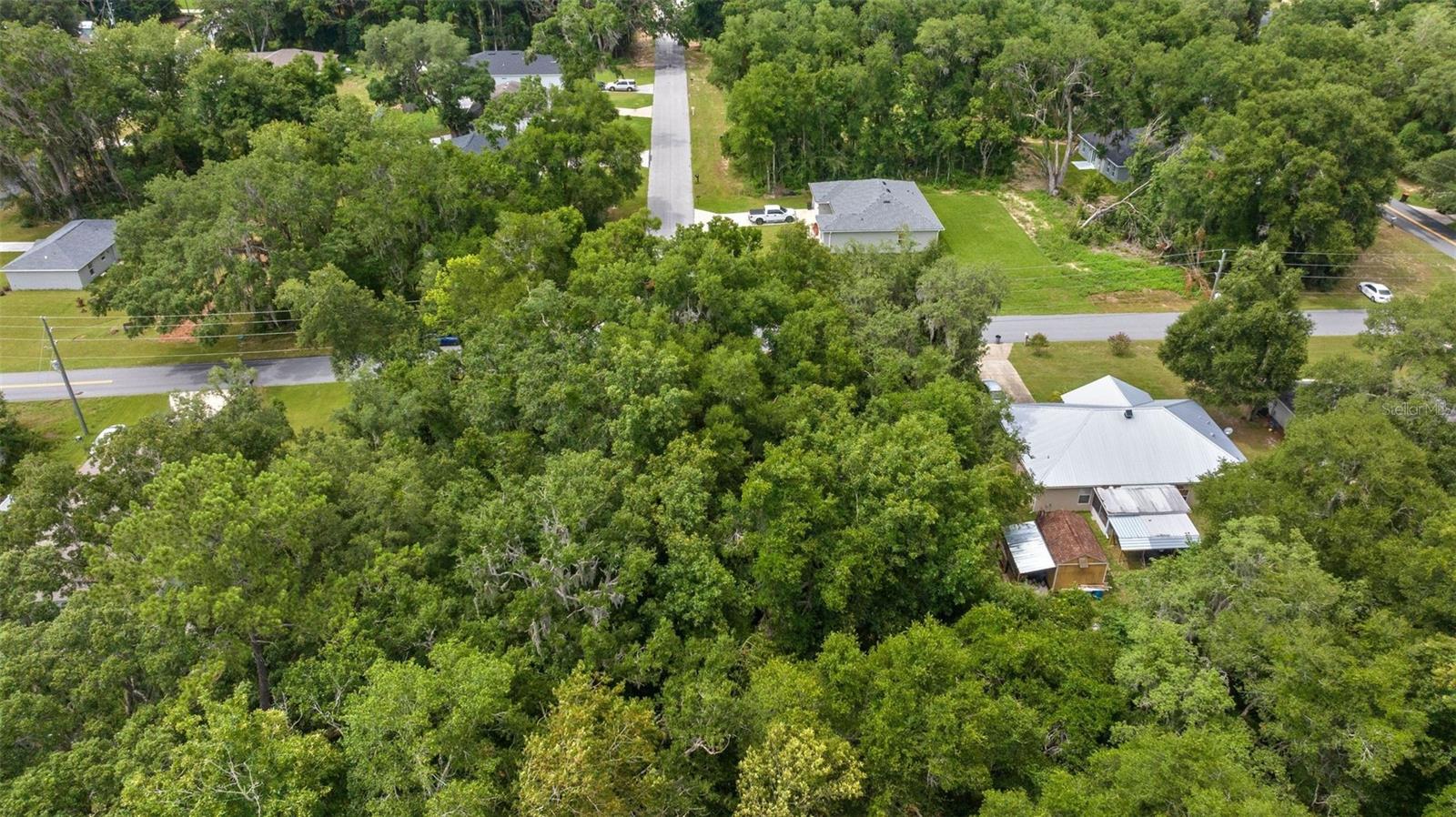 SW 131ST PL RD, OCALA, FL — photo 4