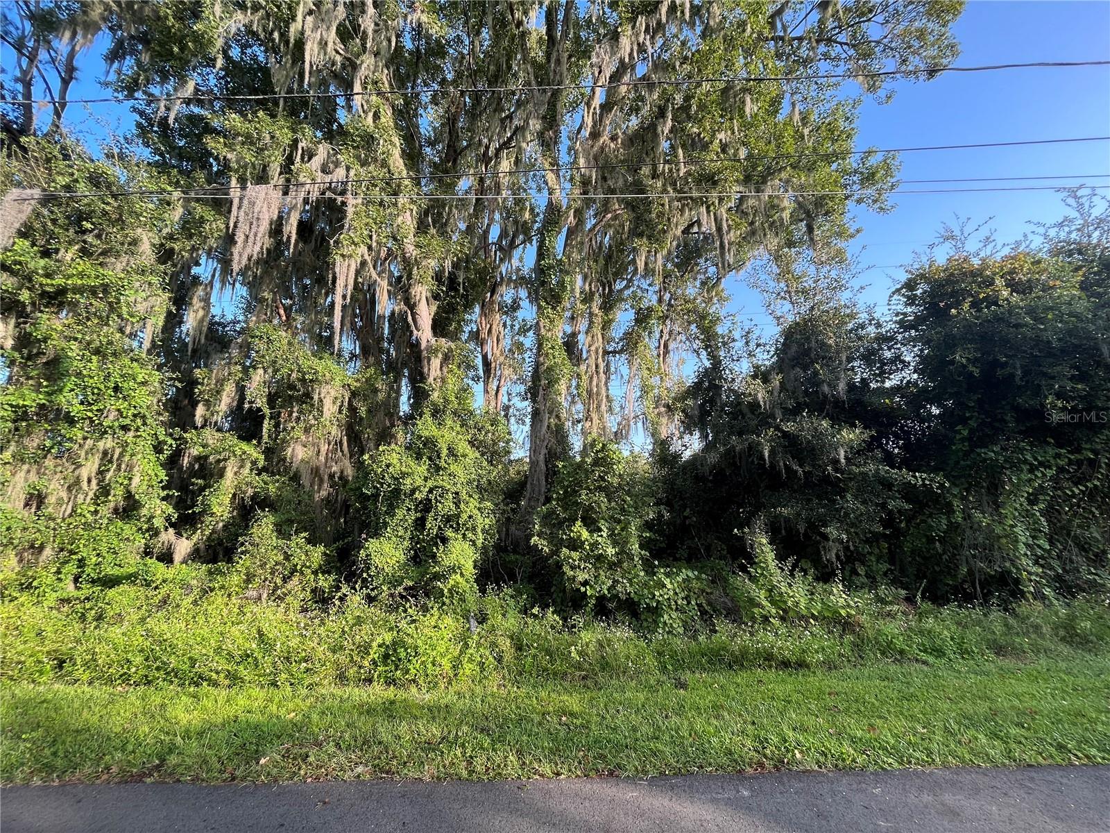 262 TOMS RD, DEBARY, FL
