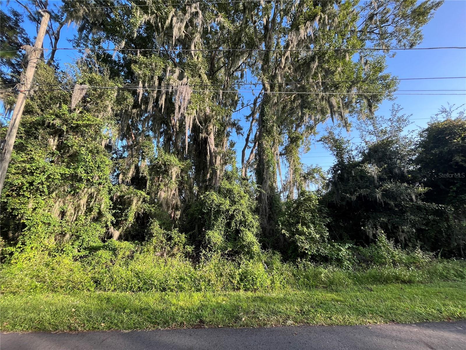 262 TOMS RD, DEBARY, FL — photo 2
