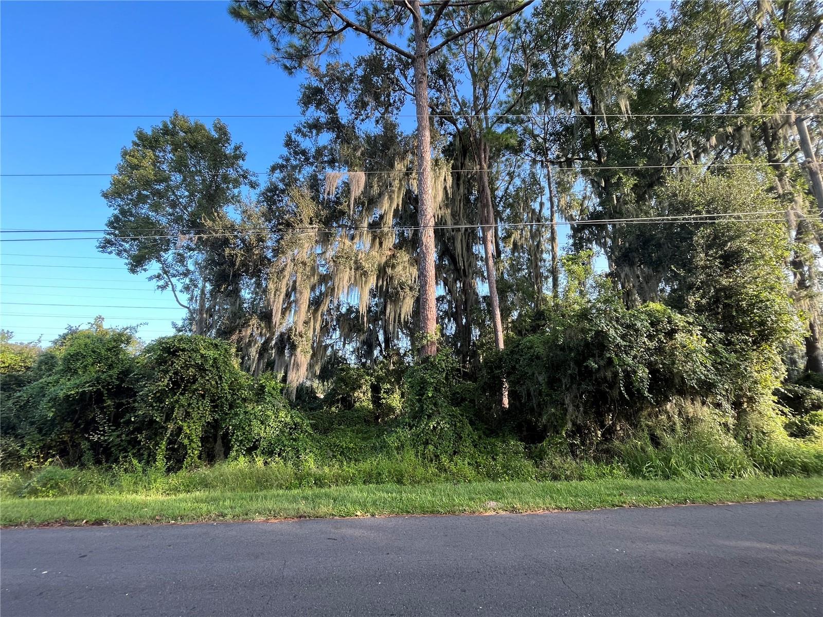 262 TOMS RD, DEBARY, FL — photo 5