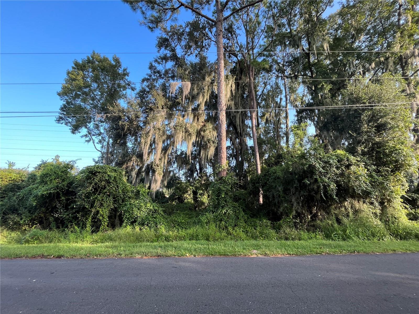 262 TOMS RD, DEBARY, FL — photo 6