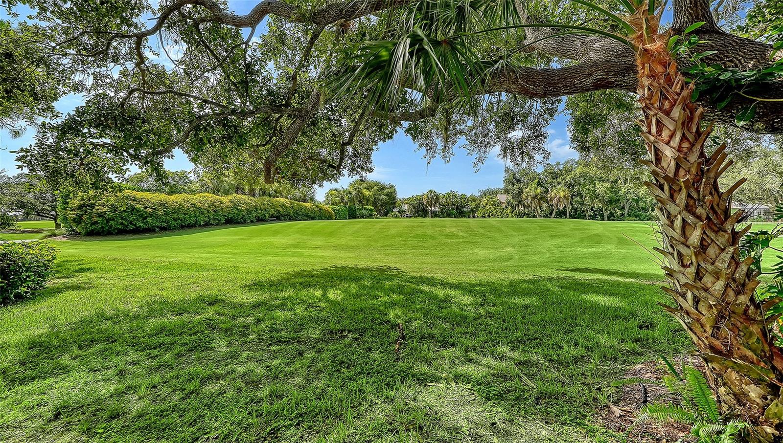 916 MACEWEN DR, OSPREY, FL — photo 78