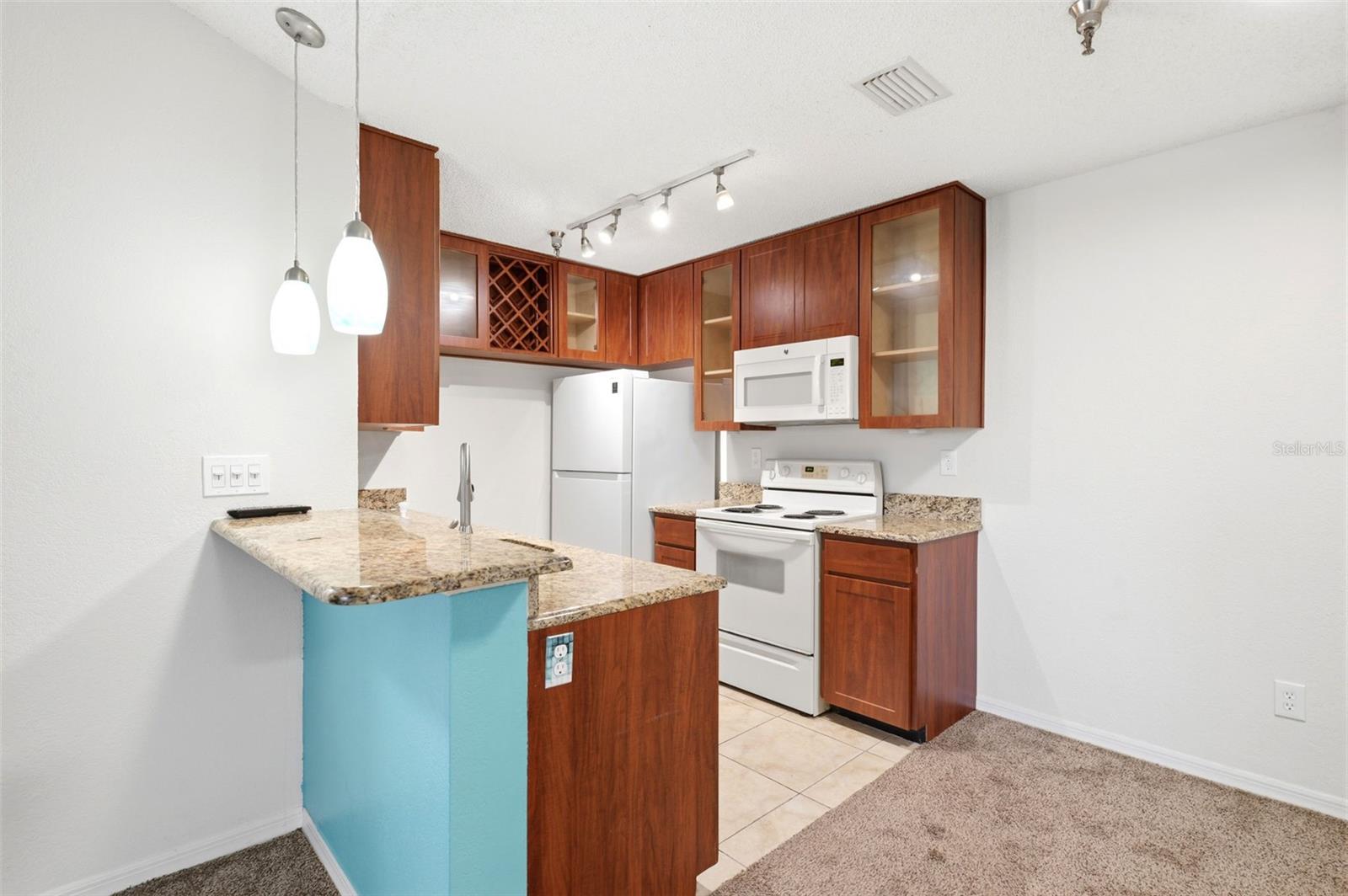 10263 GANDY BLVD N #408, ST PETERSBURG, FL — photo 9