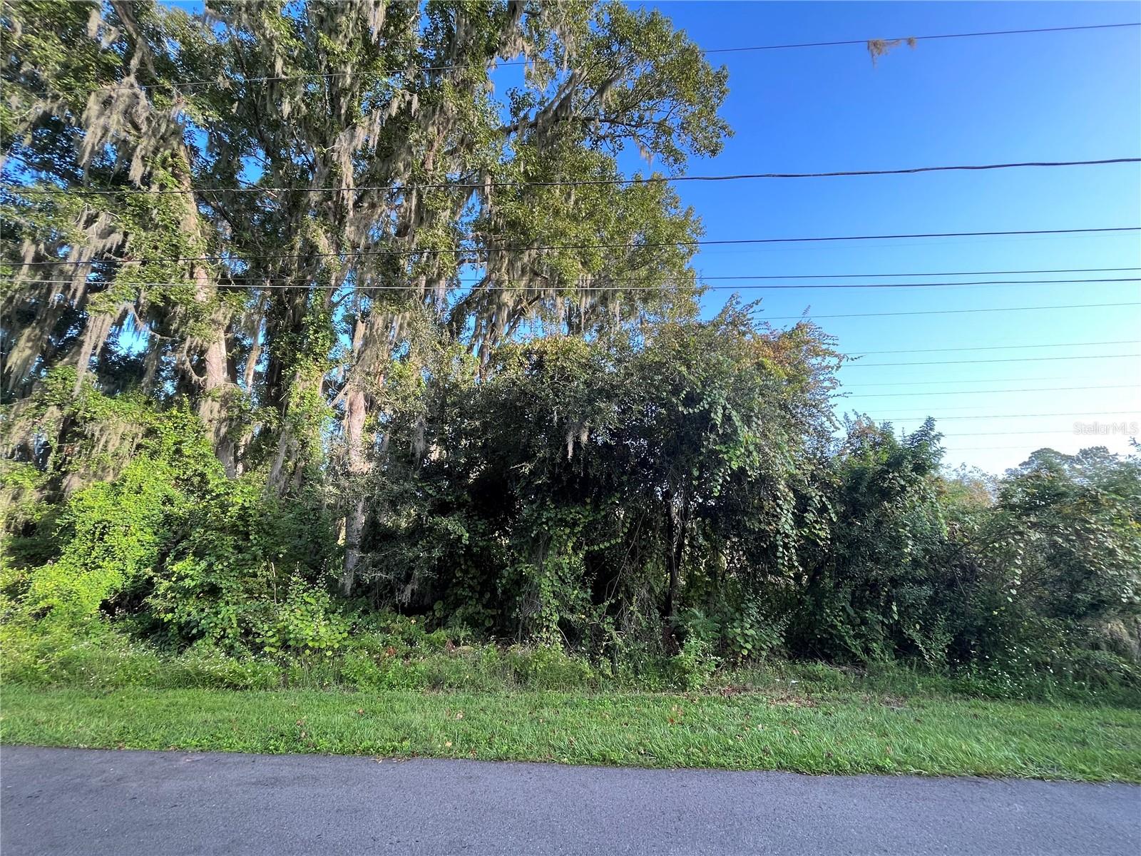 266 TOMS RD, DEBARY, FL — photo 2