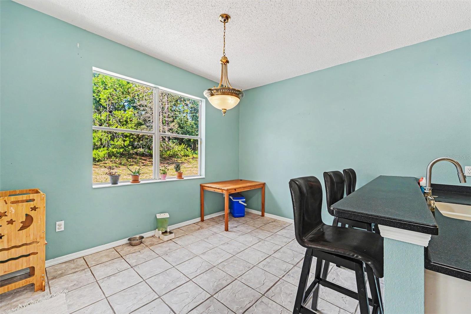 10724 PATRICK AVE, HUDSON, FL — photo 8