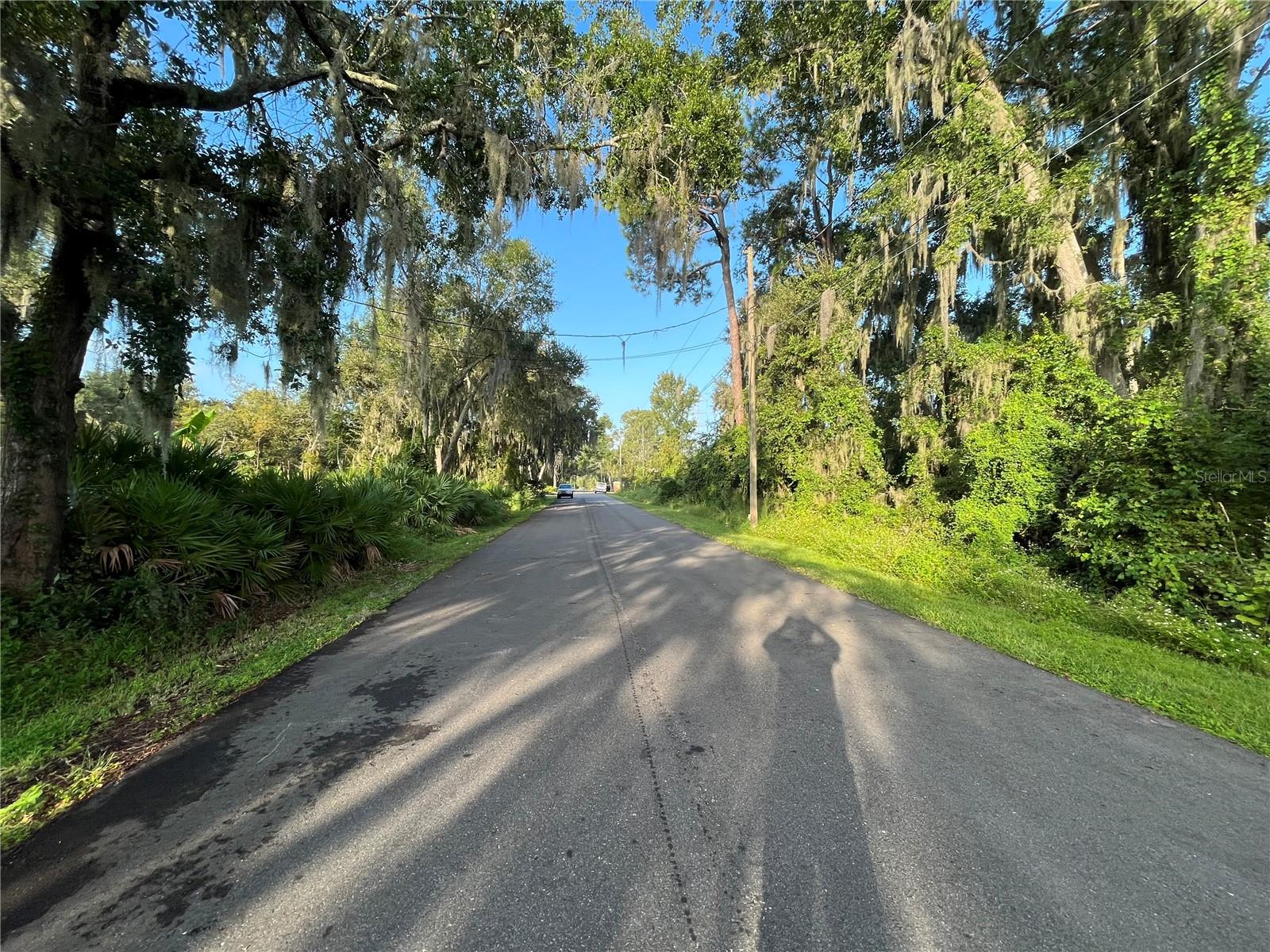 268 TOMS RD, DEBARY, FL — photo 3
