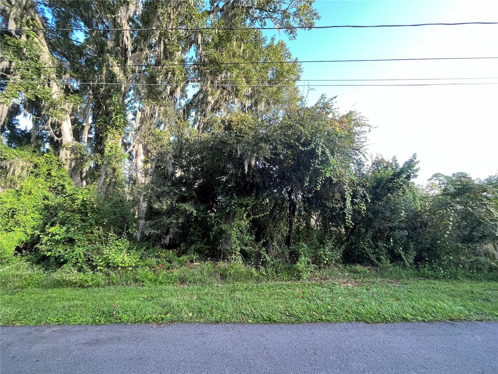 268 TOMS RD, DEBARY, FL — photo 5