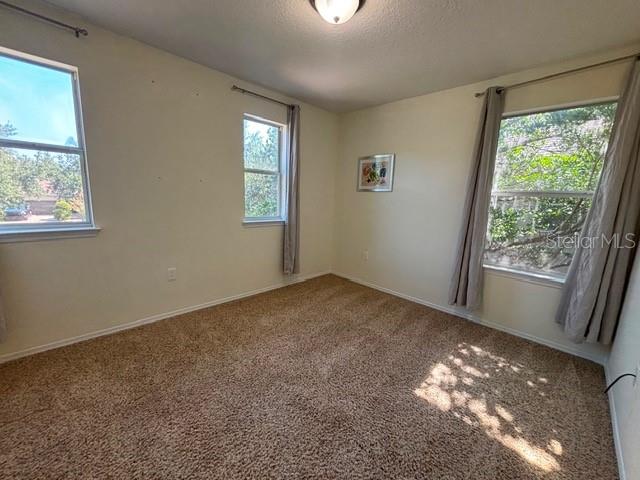 11844 CHATEAUBRIAND AVE, ORLANDO, FL — photo 33