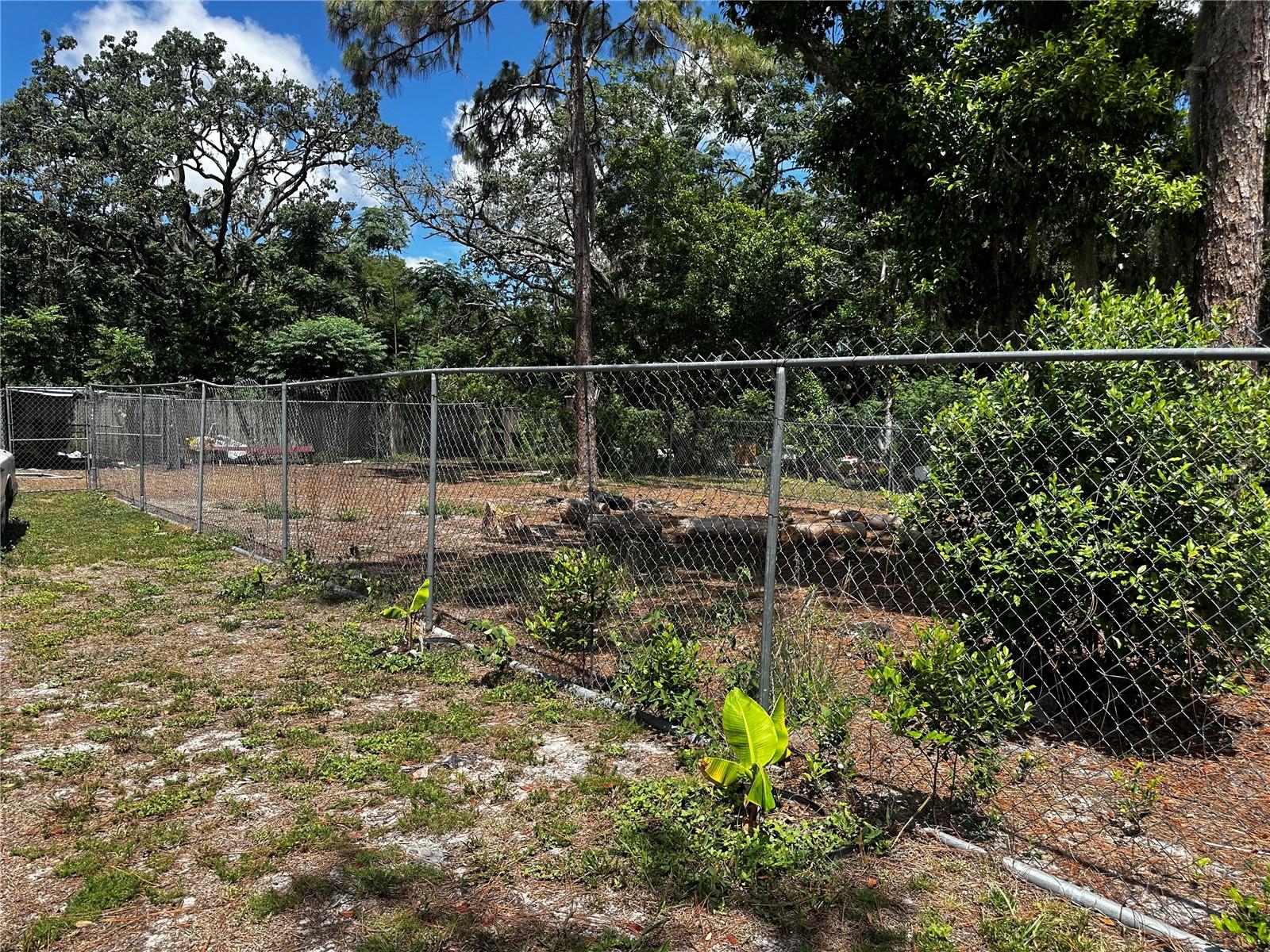 SPARE DR, NEW PORT RICHEY, FL — photo 2