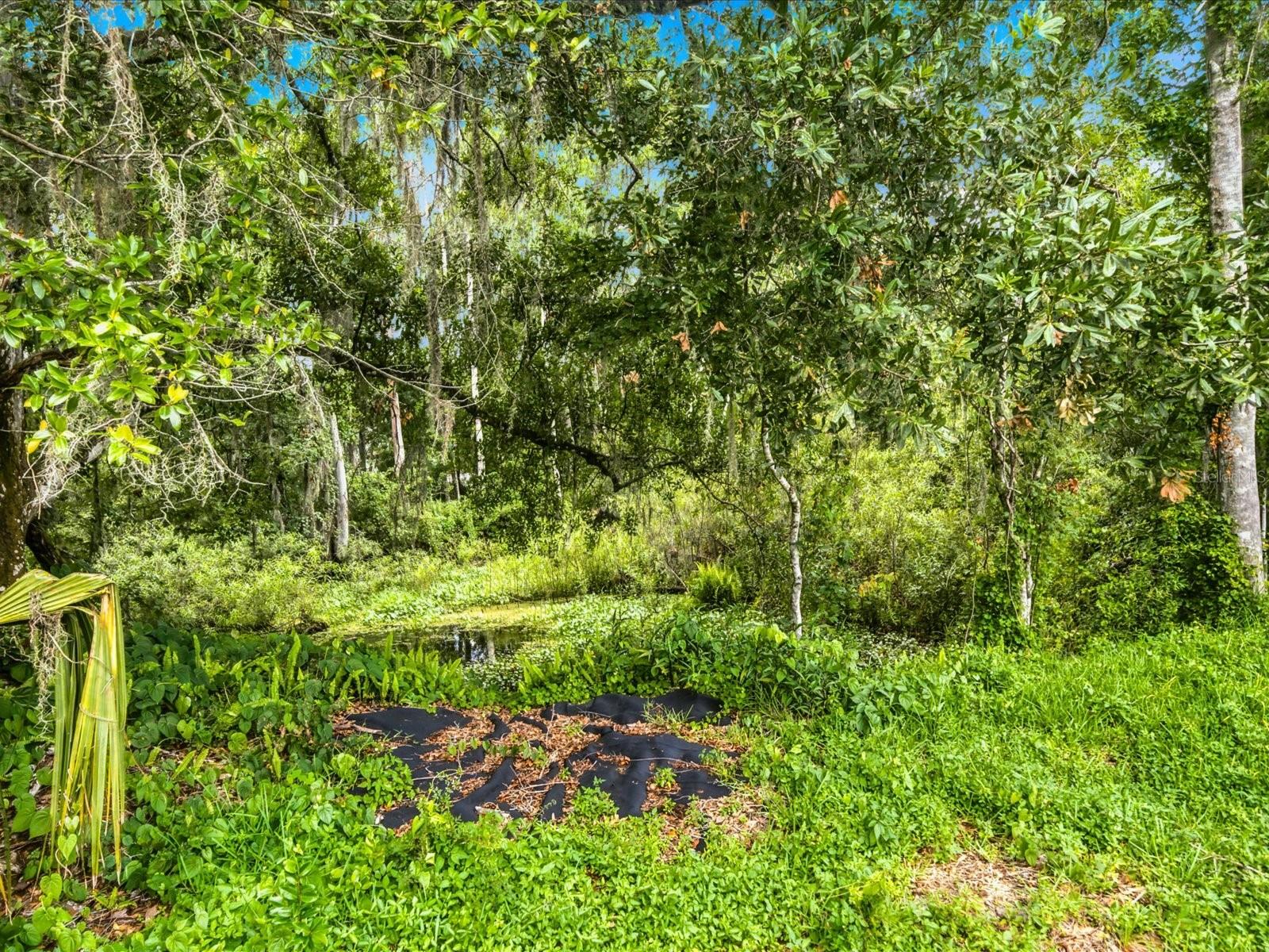 4617 DEBBIE LN, LUTZ, FL — photo 47