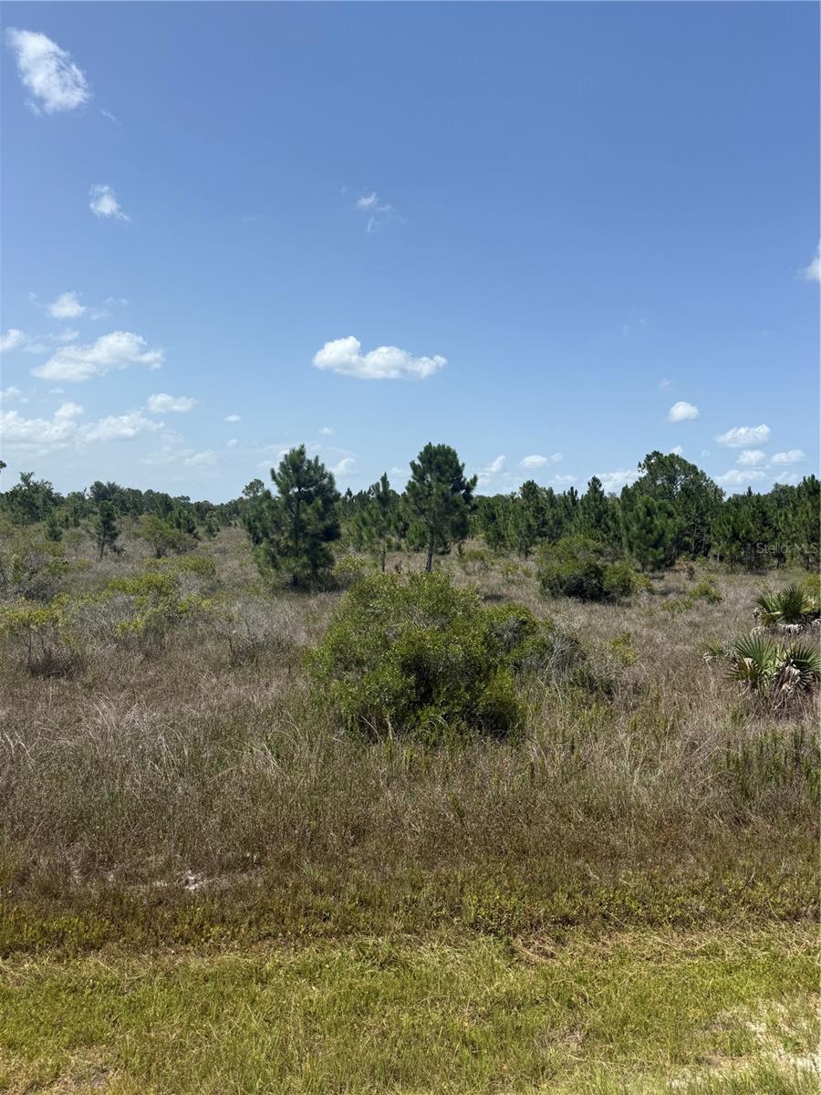15463 NW 306TH ST, OKEECHOBEE, FL — photo 2