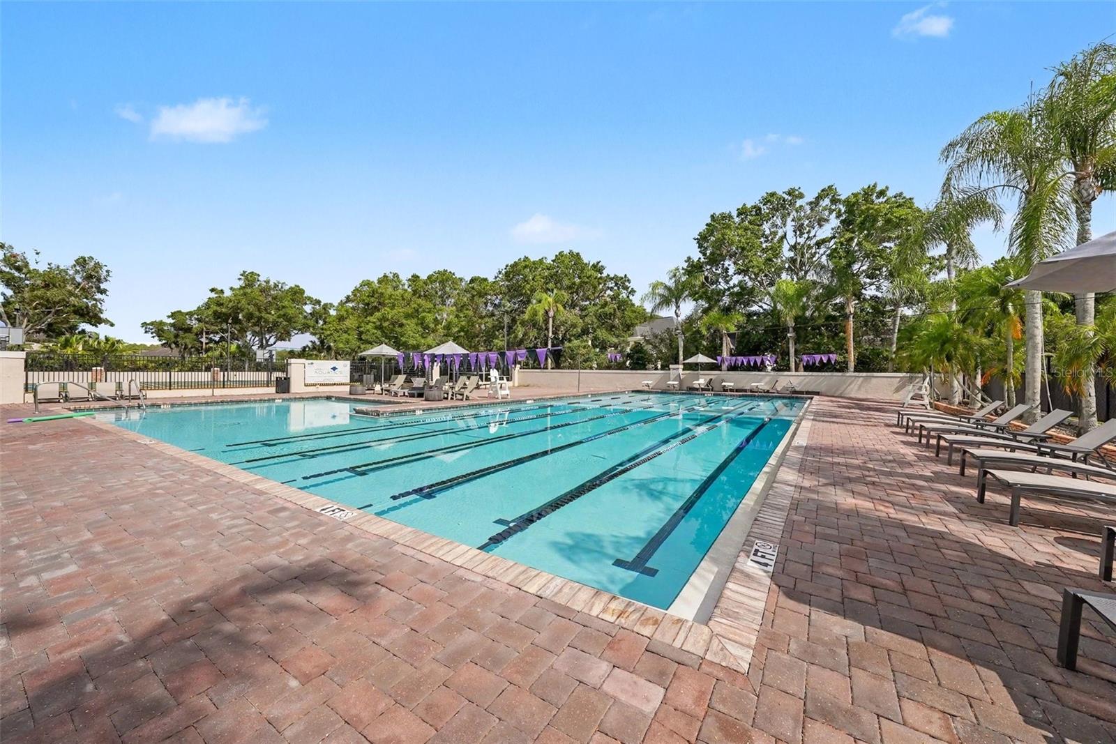 6112 CEZANNE AVE, LUTZ, FL — photo 34