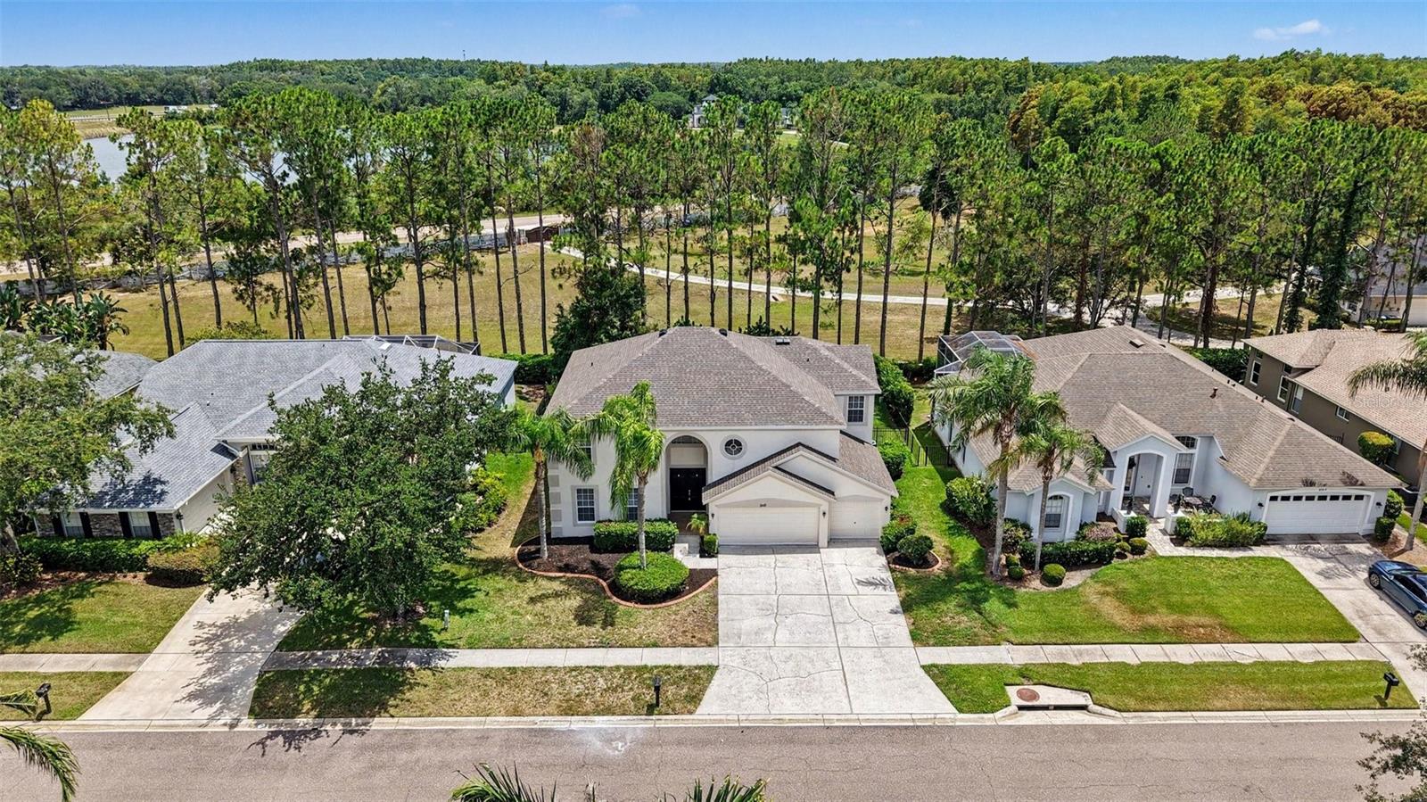 6112 CEZANNE AVE, LUTZ, FL — photo 42