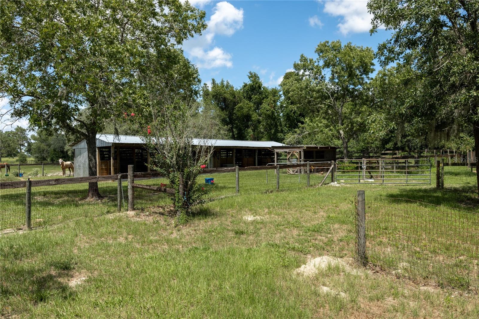 11751 SE 16TH LN, MORRISTON, FL — photo 55