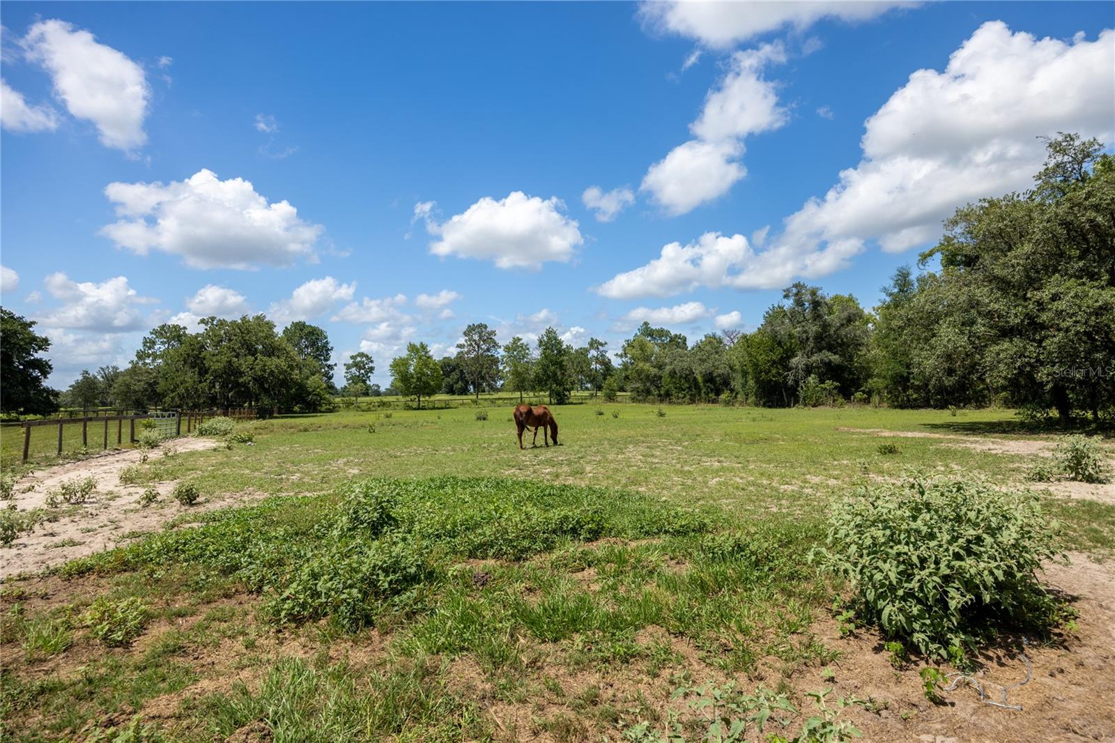 11751 SE 16TH LN, MORRISTON, FL — photo 67