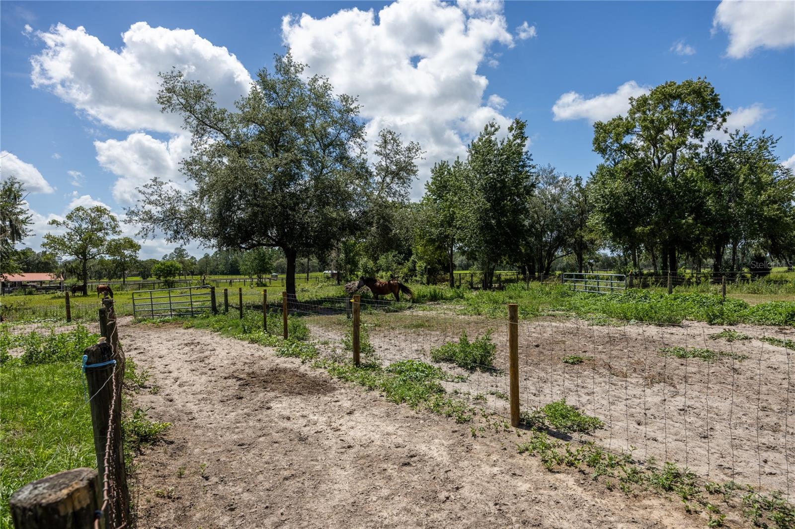 11751 SE 16TH LN, MORRISTON, FL — photo 71