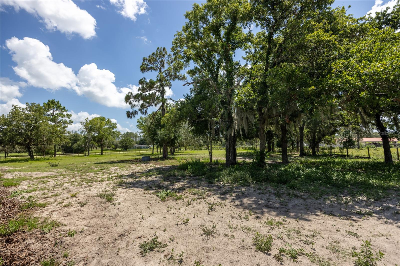 11751 SE 16TH LN, MORRISTON, FL — photo 73
