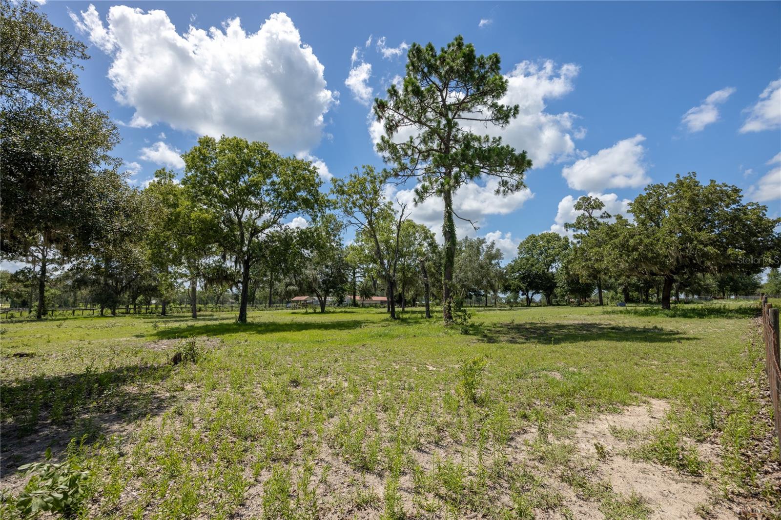 11751 SE 16TH LN, MORRISTON, FL — photo 77