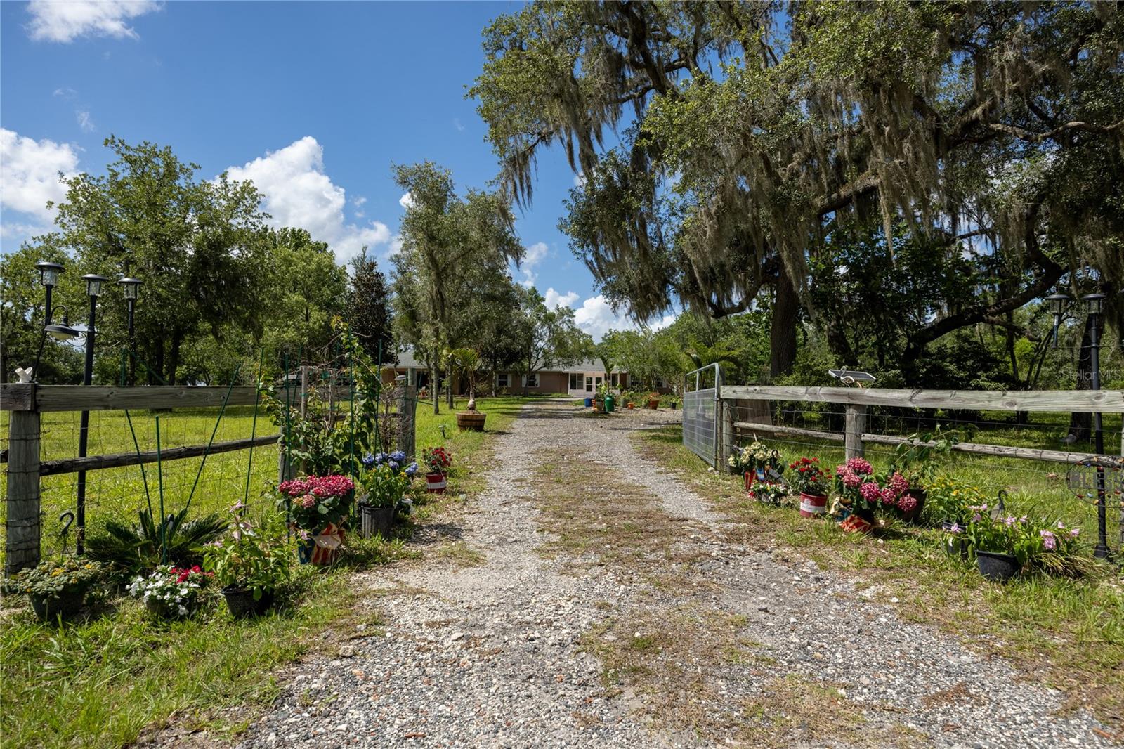 11751 SE 16TH LN, MORRISTON, FL — photo 79