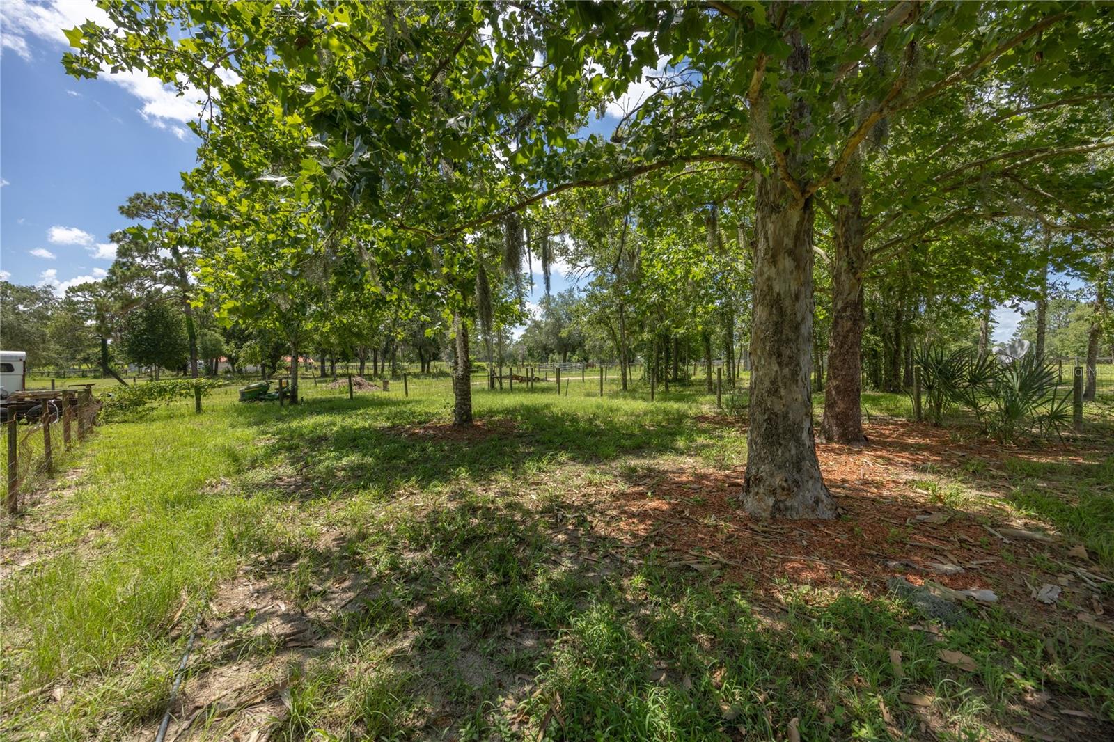 11751 SE 16TH LN, MORRISTON, FL — photo 82