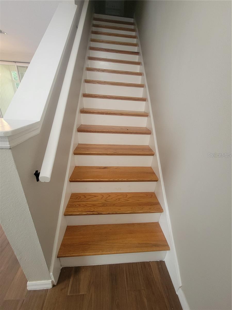 2221 GOLDEN OAK LN, VALRICO, FL — photo 3