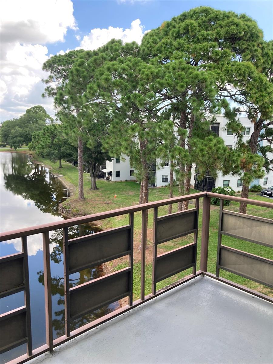 7975 58TH AVE N #408, ST PETERSBURG, FL — photo 24