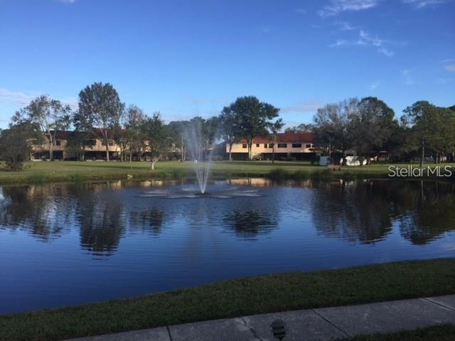 7975 58TH AVE N #408, ST PETERSBURG, FL — photo 64