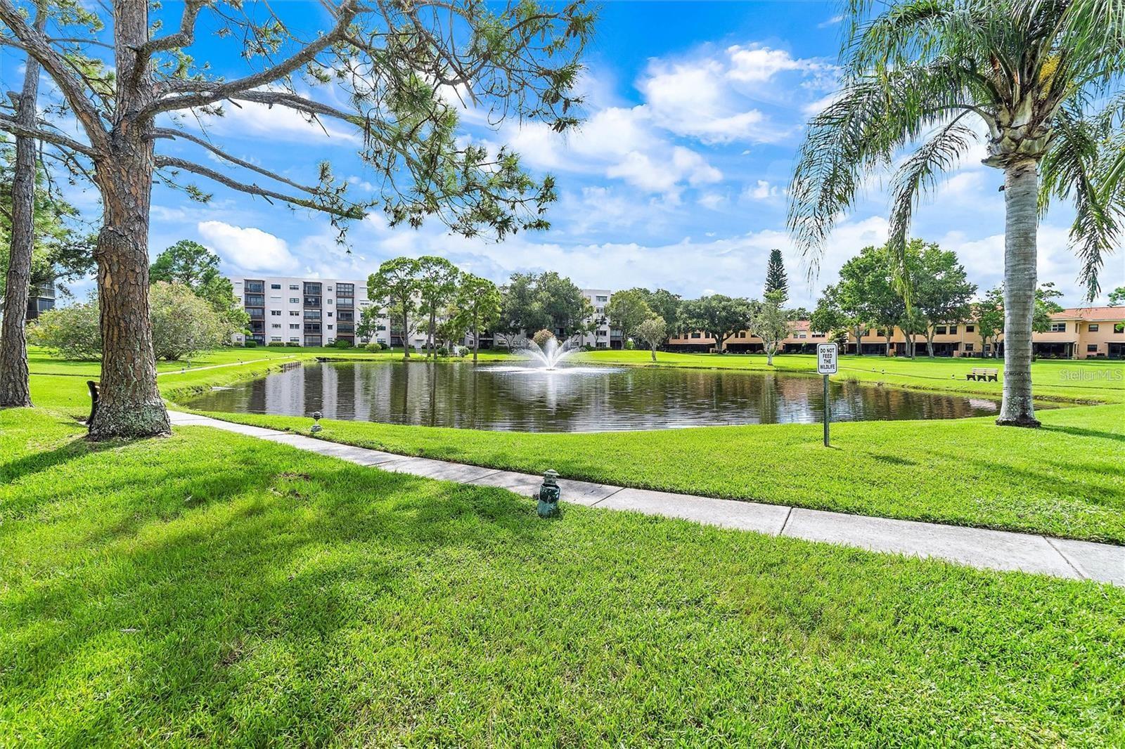 7975 58TH AVE N #408, ST PETERSBURG, FL — photo 65