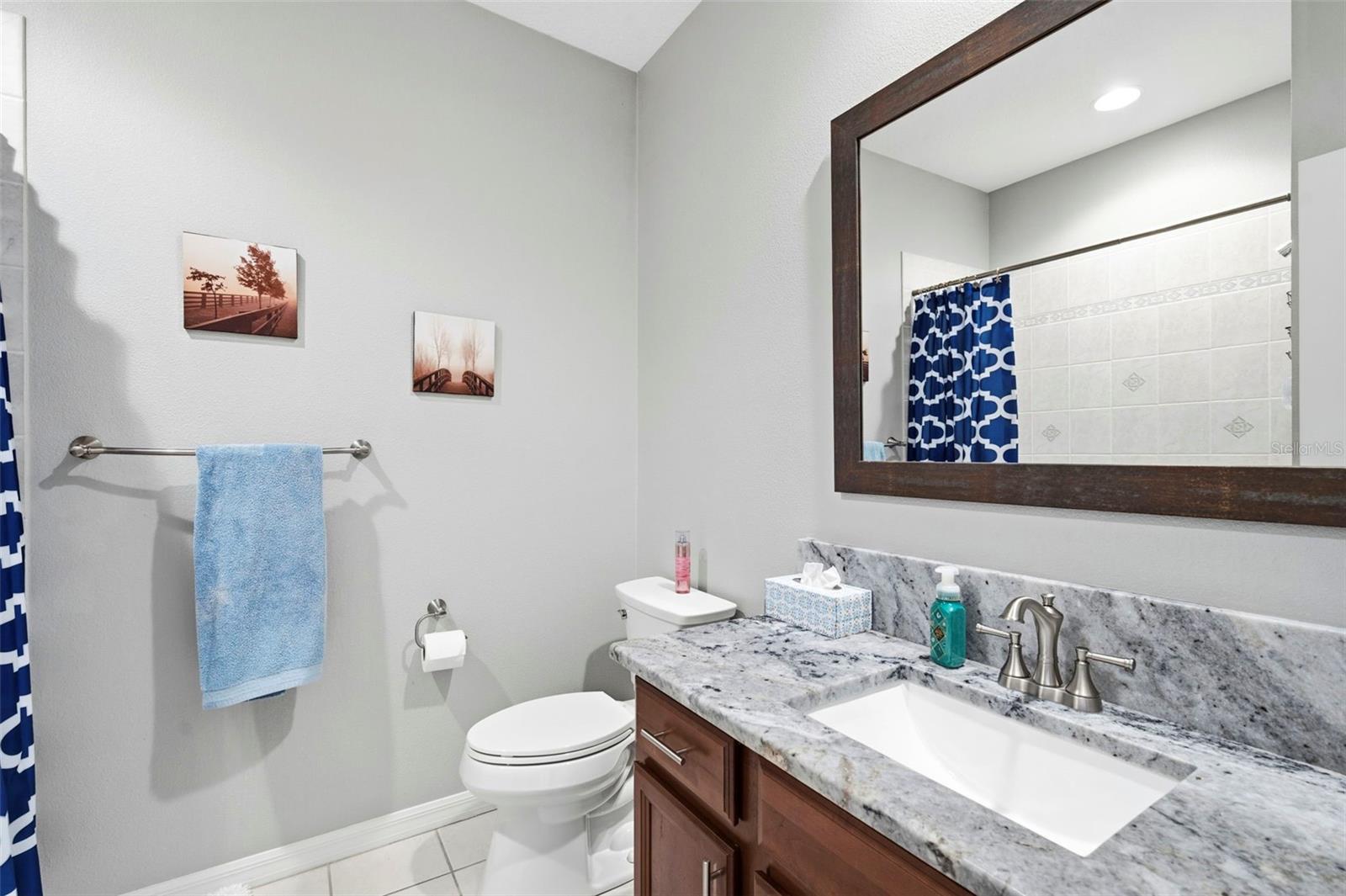 3530 VALENCIA COVE CT, LAND O LAKES, FL — photo 65