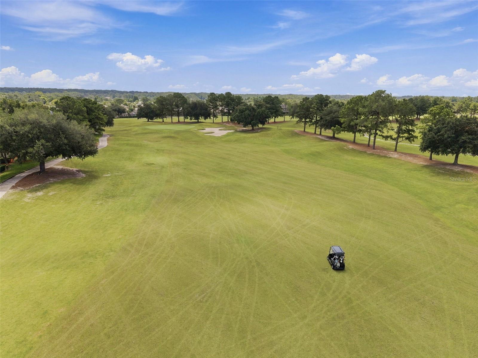 3530 VALENCIA COVE CT, LAND O LAKES, FL — photo 81