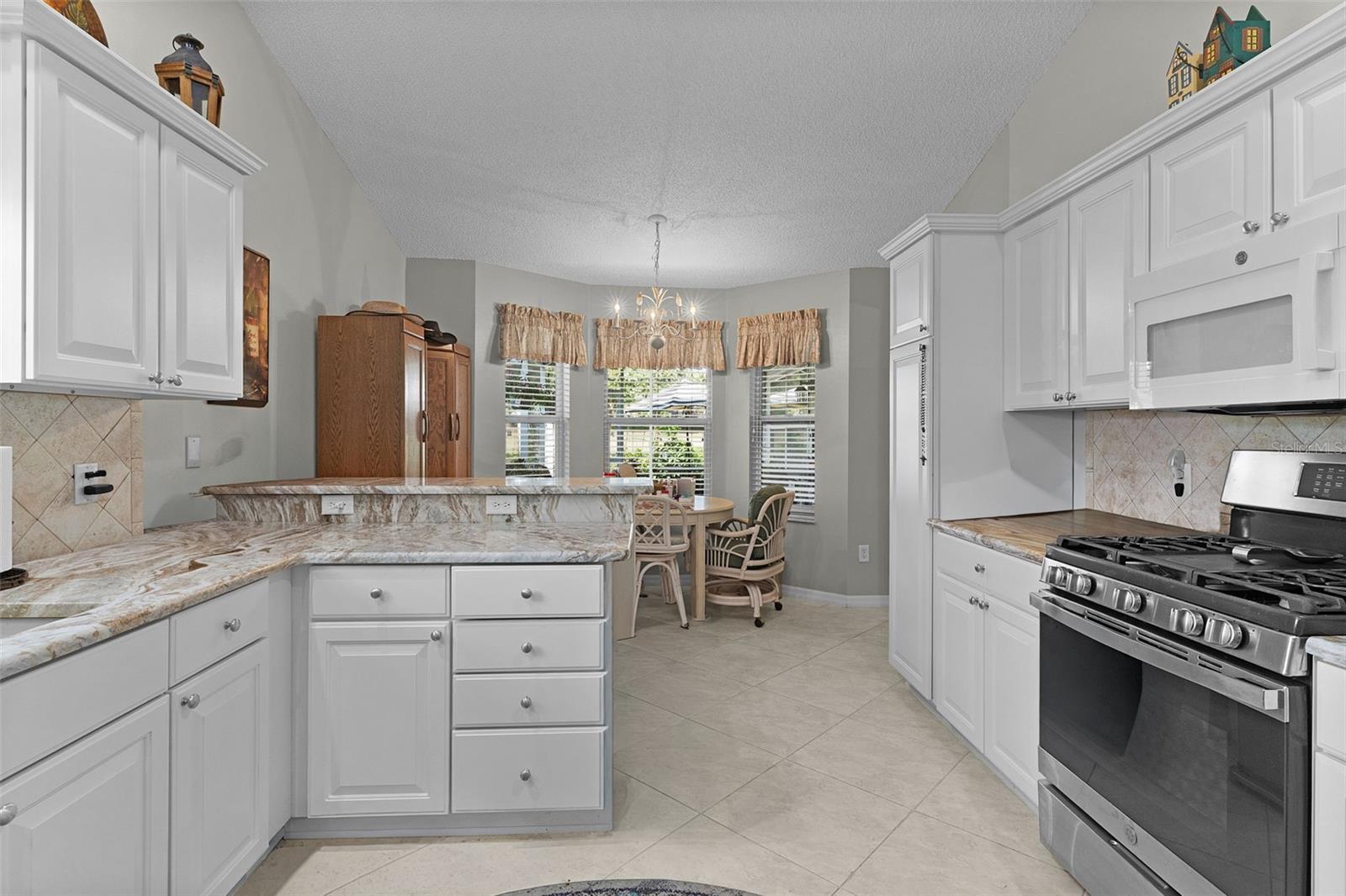 16846 SE 80TH BELLAVISTA CIR, THE VILLAGES, FL — photo 15