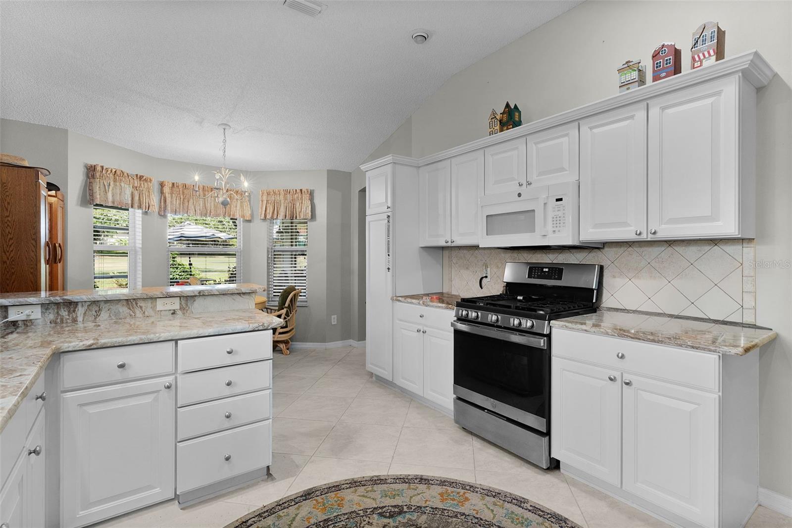 16846 SE 80TH BELLAVISTA CIR, THE VILLAGES, FL — photo 16