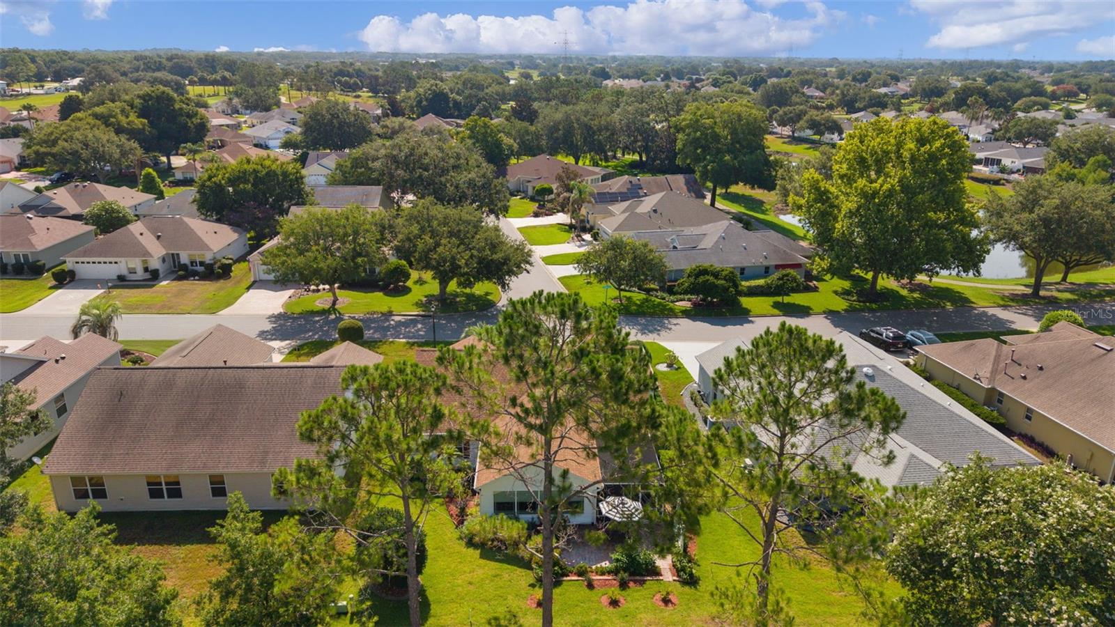16846 SE 80TH BELLAVISTA CIR, THE VILLAGES, FL — photo 52