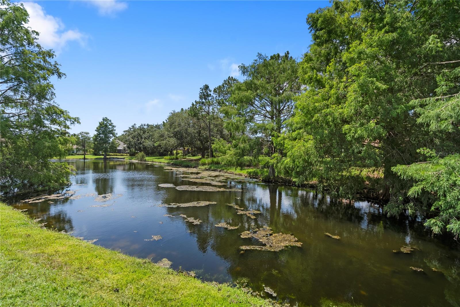 7245 ORCHID ISLAND PL, LAKEWOOD RANCH, FL — photo 50