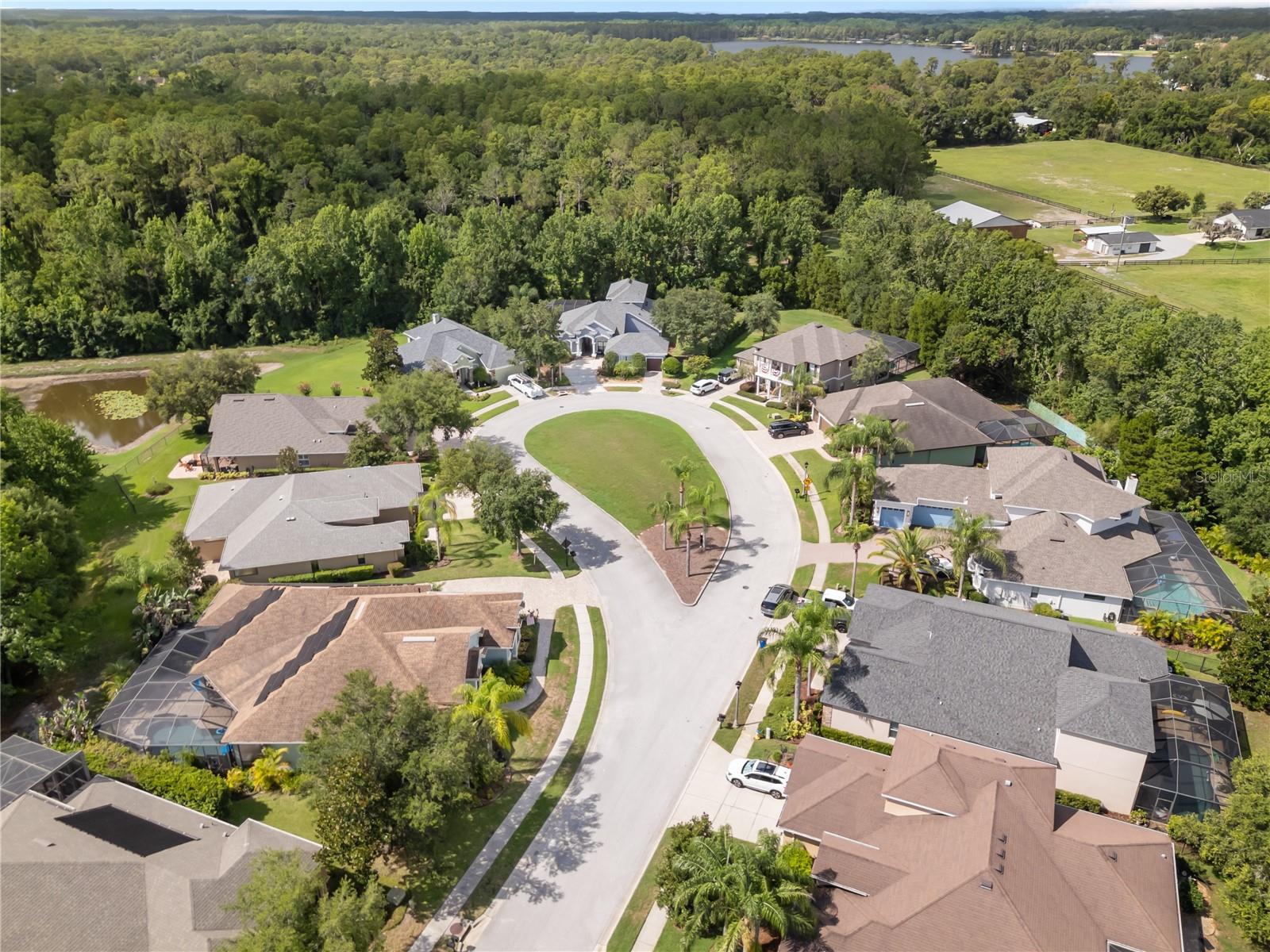 14834 MAN O WAR DR, ODESSA, FL — photo 10