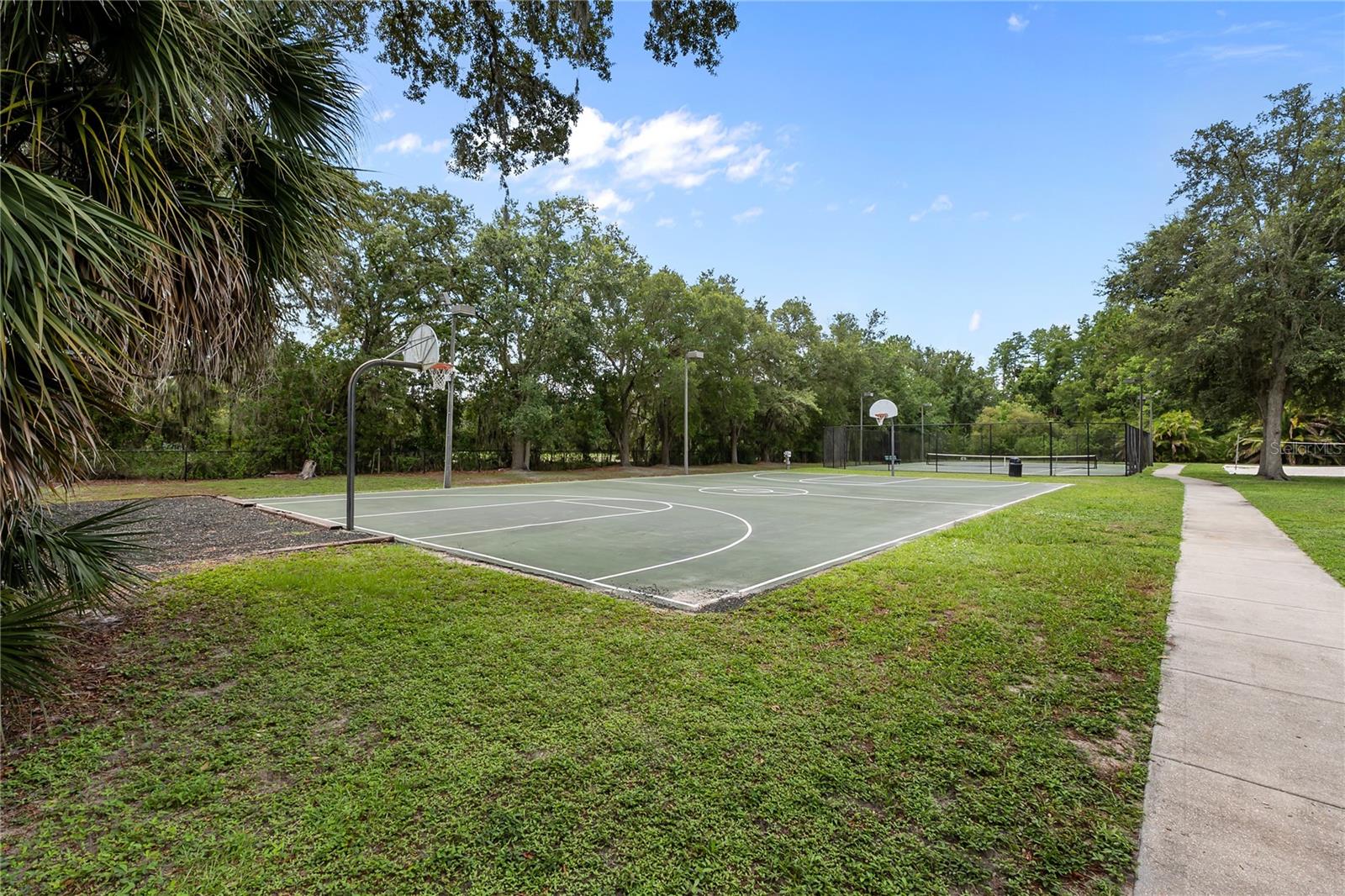 14834 MAN O WAR DR, ODESSA, FL — photo 43